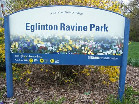 Eglinton Ravine Park: Explore Nature's Beauty