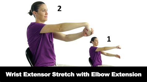 Elbow Stretches Extensor Stretch Youtube