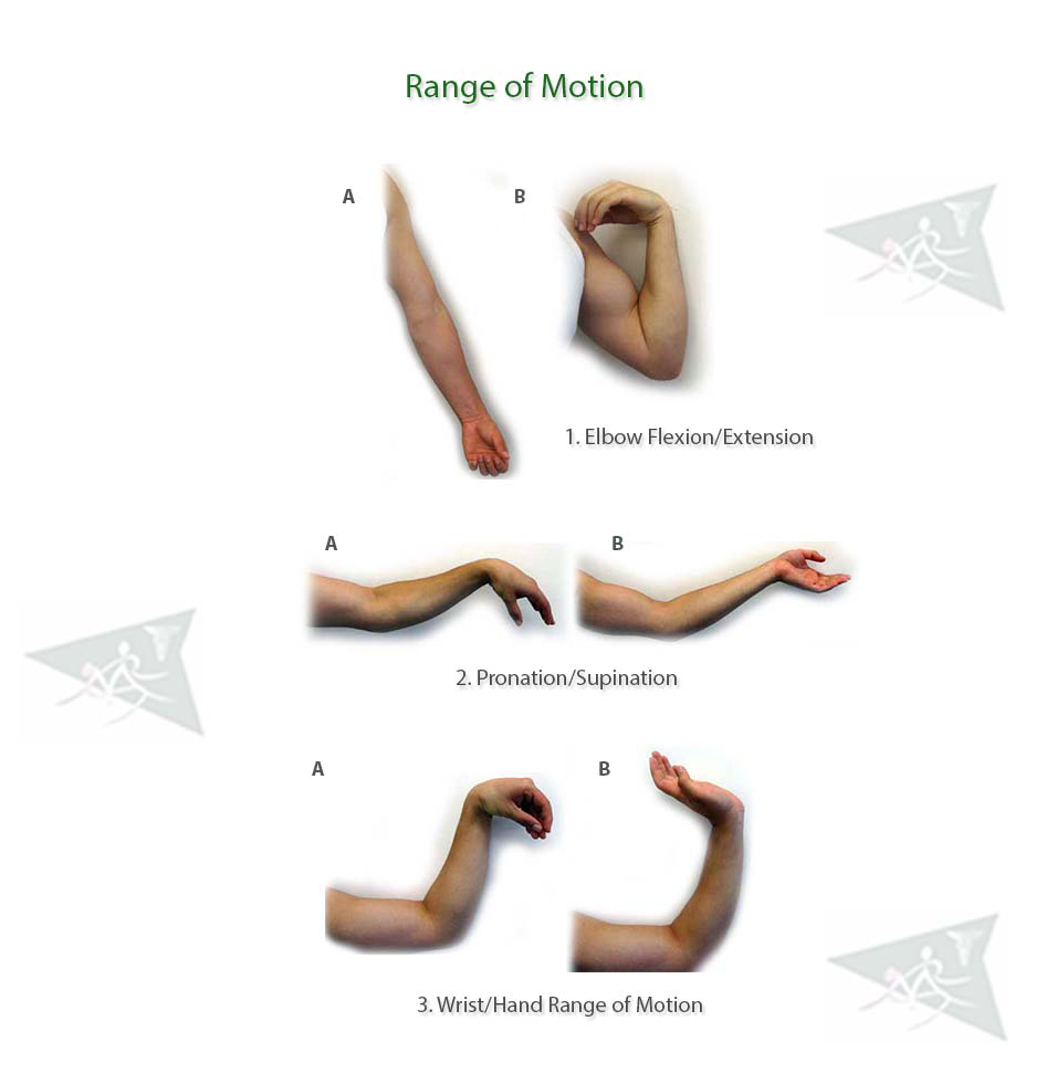 Elbow Wrist Hand Exercises Hand Exercises Physical Therapy