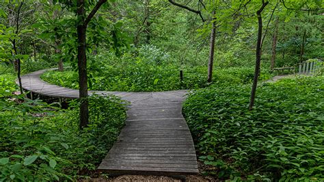 Eloise Butler Wildflower Garden And Bird Sanctuary Minneapolis Park