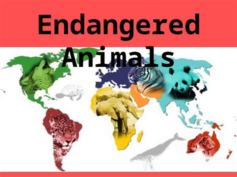 Endangered Animals What Does Endangered Mean According To The 1973 Us Endangered Species Act Animals Are Defined As Endangered If The Species Is Ppt Download