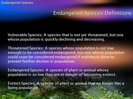 Endangered Species Endangered Speices Definitions Vulnerable Species A Species That Is Not Yet Threatened But One Whose Population Is Quickly Declining Ppt Download