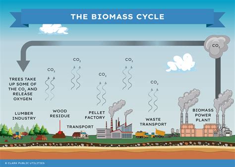 Energy From Biomass