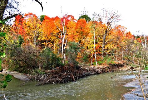 Ernest Thompson Seton Park: Explore Nature Trails