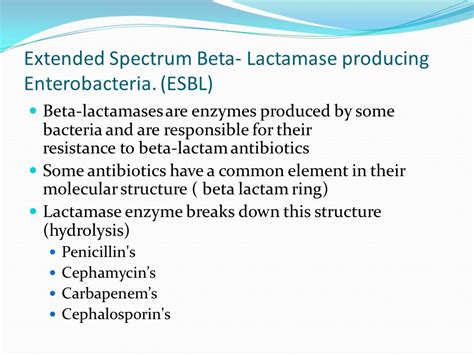 Esbl Antibiotics: Effective Treatment Options