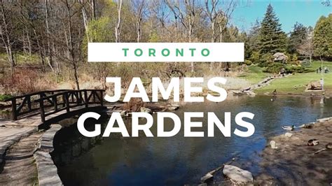 Etobicoke James Gardens: Discover Local Highlights