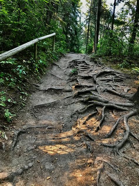 Everyday Urban Trekking In Calgary Douglas Fir Trail Every Day Tourist