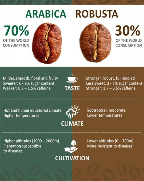 Excelsa Coffee Vs Arabica Surprising Differences Uncovered