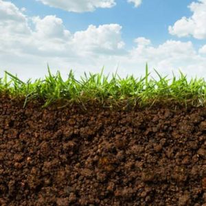 Exchangeable Sodium Percentage: Optimize Soil Health