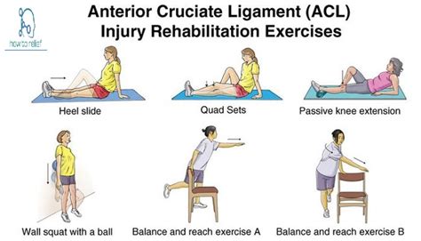 Exercises For Torn Acl Anterior Cruciate Ligament Injury