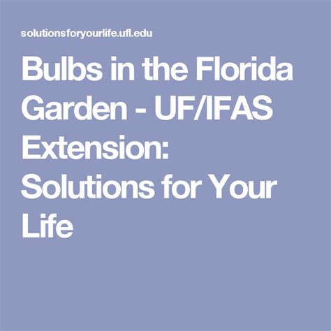 Extension Services Solutions For Your Life University Of Florida