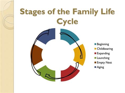 Family Life Cycle Stages