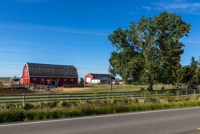 Farm And Agriculture In Alberta Canada Stock Image Image Of Building