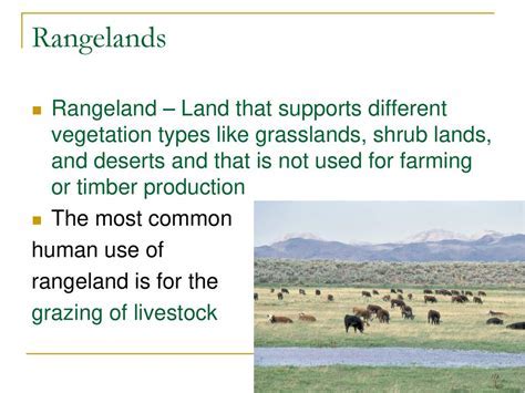 Farming That Predominates: Methods Revealed