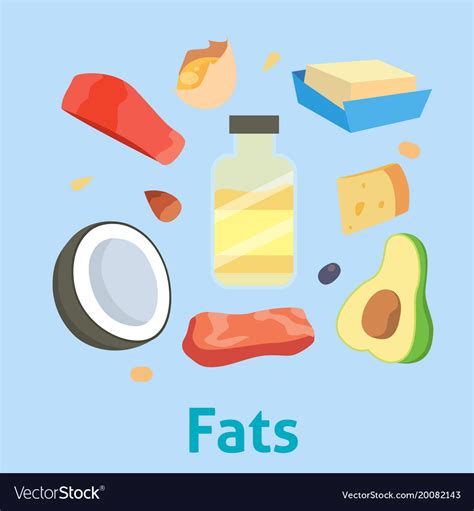 Fat Food Healthy Diet Oil Avocado Or Fatty Vector Image