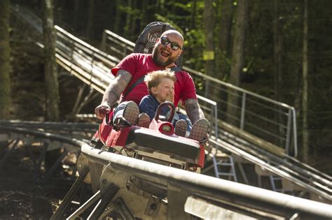 Fforest Coaster Alpine Coaster Zip World Zip World