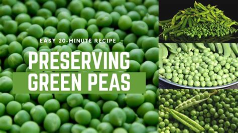 Field Peas Preservation Guide