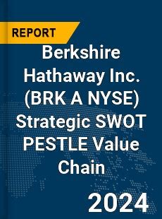 Financial Expert Report: Strategic Assessment Of Berkshire Hathaway's Position