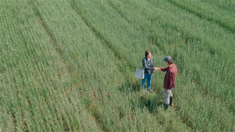 Financial Support For Alberta Agriculture Crowe Mackay