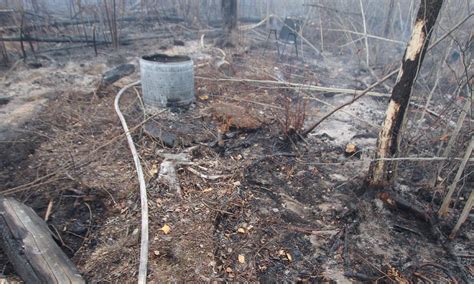 Fire Investigators Determine Abandoned Campfire Cause For Morgan