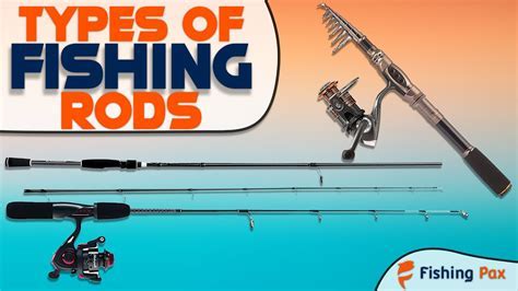 Fisch Rods: Improve Your Fishing Success Rate