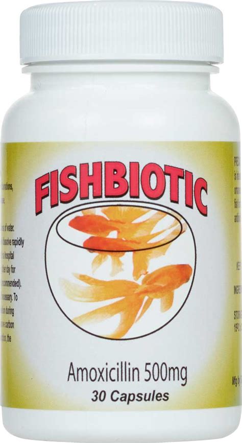 Fish Antibiotics Guide: Uses Explained