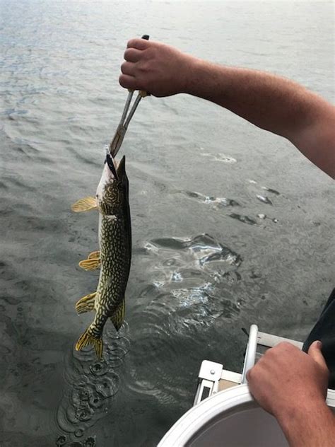 Fishing Packages Alberta Beach Adventures