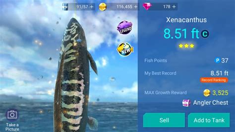 Fishing Strike Guide Tips Cheats To Catch Sss Rank Fish Mrguider