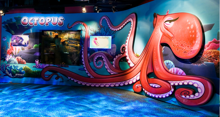 Florida Aquarium Ocean Commotion Exhibit Design Animation In 2024