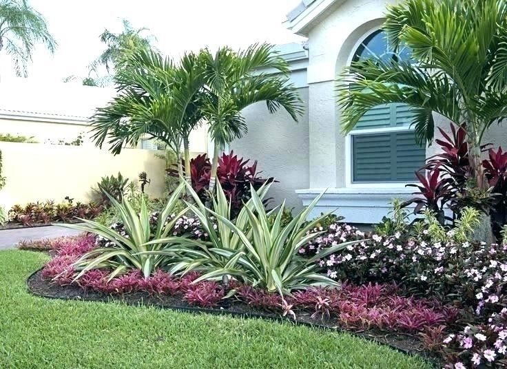 Florida Landscaping Plants