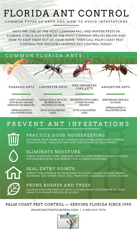 Florida Tussock Control: Effective Methods