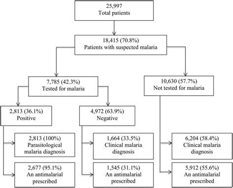 Flow Chart For Malaria Diagnosis In Young Infants In 36 Ugandan Primary