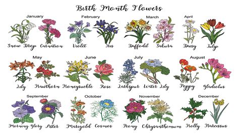 Flowers Of The Month