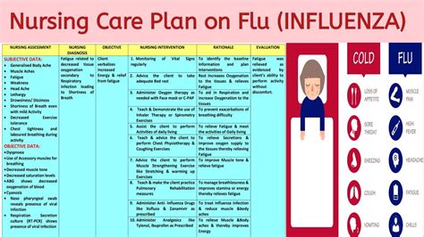 Flu Treatment: Comprehensive Care Plans