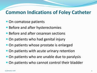 Foley Cathetar And Cathetarazation