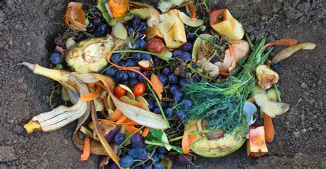 Food Waste Focused Organizations Struggle To Collaborate With Yale