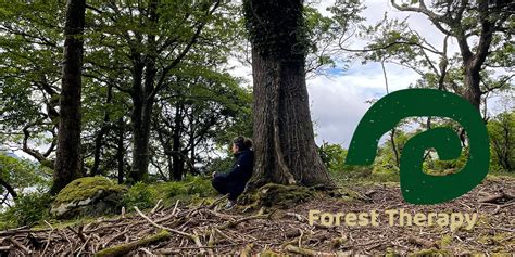 Forest Bathing The Nature Hub