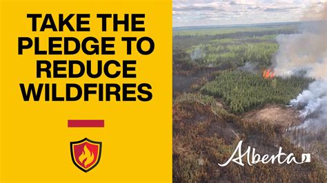 Fort Mcmurray Forest Area Wildfire Update July 1 2024