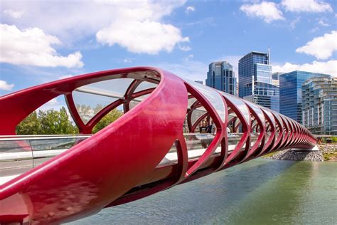 Free Calgary Fun: Top Activities