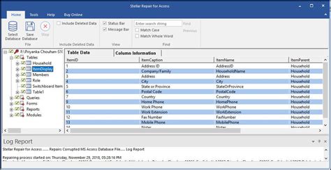 Free Microsoft Access Database Betsbinger