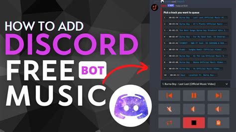 Free Music Bot Discord 2024 Dredi Ginelle