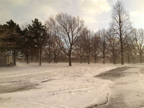 Friends Of Earlscourt Park About Earlscourt Park