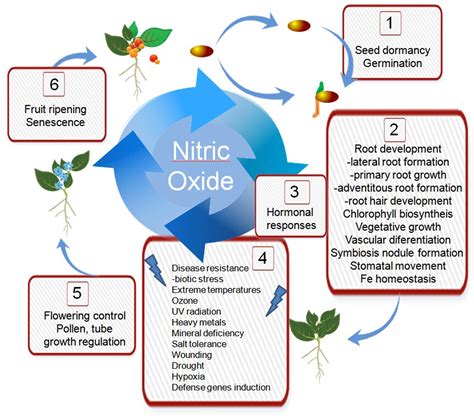 Frontiers Plant Survival In A Changing Environment The Role Of