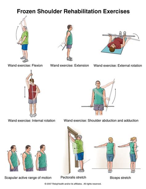 Frozen Shoulder Rehabilitation Exercises Biokineticist Andries Lodder