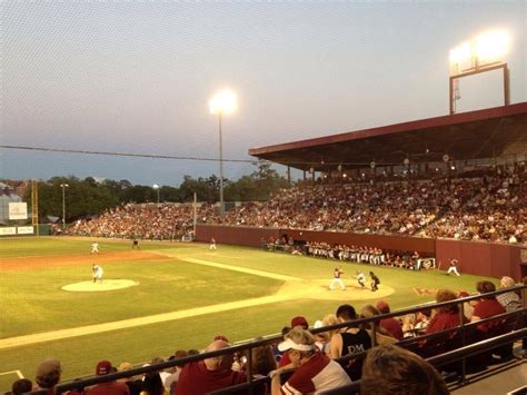 Fsu Baseball Fsu Baseball Fsu Baseball