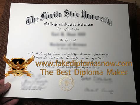 Fsu Fake Diploma Florida State University Bsc Degree Sample Buy Fake