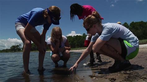 Fsu Marine Lab Guide: Comprehensive Resources