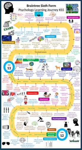 Fsu Psychology Roadmap: Graduate On Time