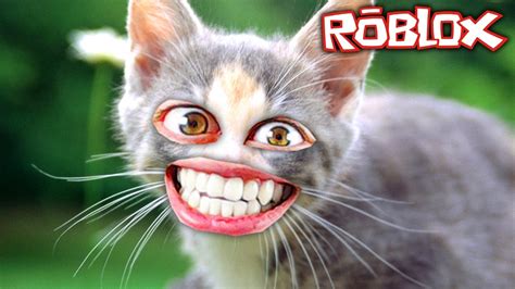 Funny Cat Roblox