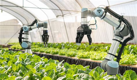 Future Of Farming How New Technologies Are Transforming Alberta